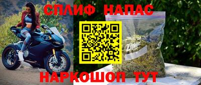 СК Белореченск