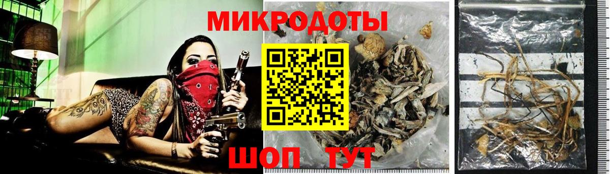 Псилоцибиновые грибы прущие грибы  Галлюциногенные грибы мицелий  Богданович  Вход с VPN 